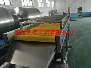 酱菜去杂去毛发清洗设备价格,产品报价