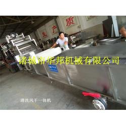通化市蔬菜清洗设备 华邦机械 蔬菜清洗设备