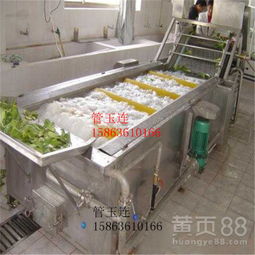 【芹菜菠菜臭氧清洗机设备叶菜类蔬菜清洗加工生产线净菜加工设备】-