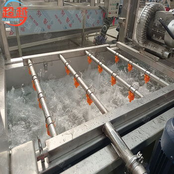 诸城超越 3500l水蜜桃清洗机 多功能商用果蔬清洗设备