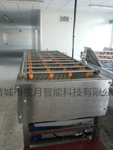 全自动果蔬毛刷去皮清洗机 根茎类果蔬去皮清洗设备