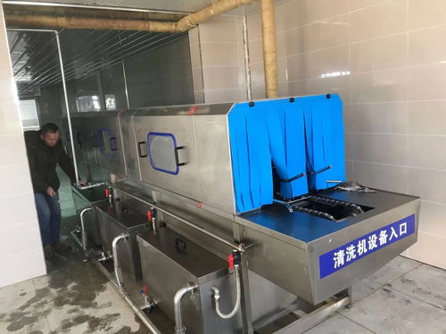 豆腐板筐清洗设备