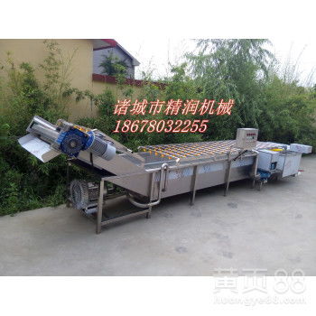 【连续式蔬菜清洗设备,油茶籽清洗机价格实惠】- 
