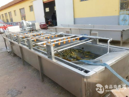 hb多功能海带清洗机 商用去杂去残清洗机 大型清洗设备价格,产品报价